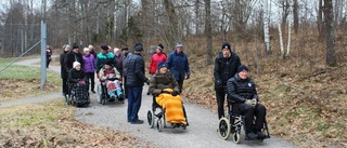 Här är promenadgruppen som fyller 20 år