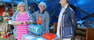 Motordagen lockade i Hjorted