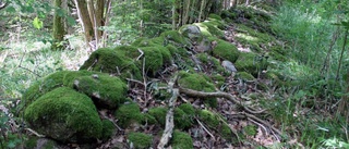 Nytt naturreservat på gång i Karshult