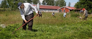 Slåtter med traditioner på Pålsbo ängar