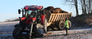 Traktor i krock – gödselvagn blockerade väg