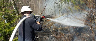 BLÅLJUS: Brand i terrängen började på tomt