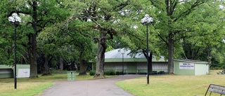 De får ställa ut i Vadstena skulpturpark