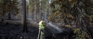 Politiker efterlyser nya skjutfält i länet