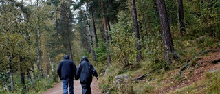 Så blir vädret i helgen