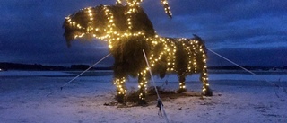 Skedevi julbock ska bli en tradition