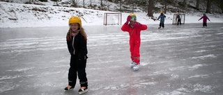 Friluftsdag för de lägre årskurserna