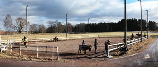 De har sportlov från en hästrygg