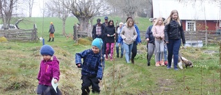 Vilken vårtradition i skogen!