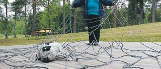 Textil upplevelse i Herrgårdsparken