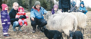 Skogsknyttar klappade lamm på gård