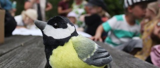 Barnen snokade efter insekter