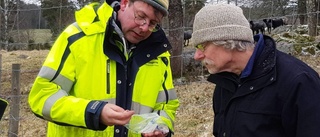 Experter borrade efter stenåldersboplatser