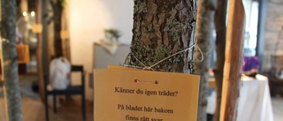 De har tagit skogen in till stan