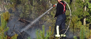 Åskan startade skogsbränder