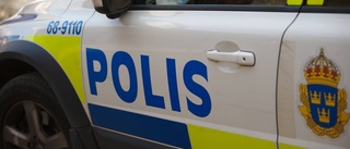 Tjuvar tog sin in via brandstege