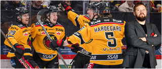 Luleå Hockey har inte haft någon bättre sedan "Skuggan" härjade