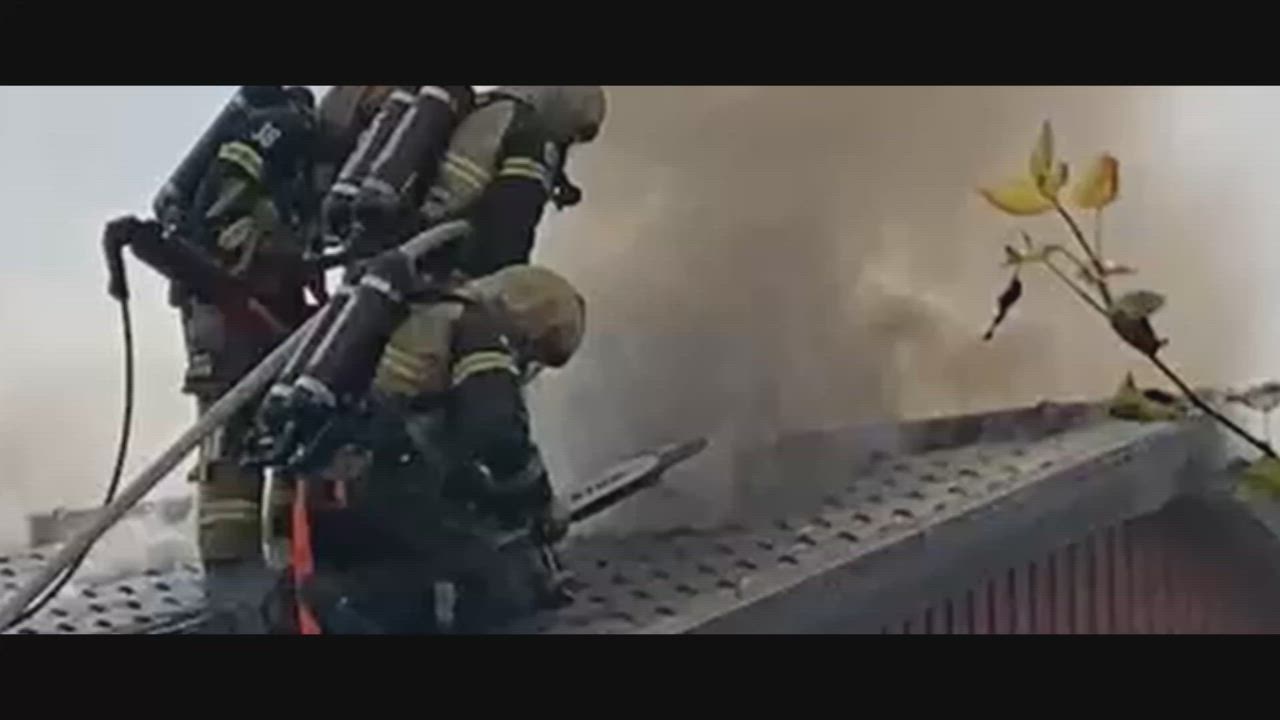 Brand Borsökna