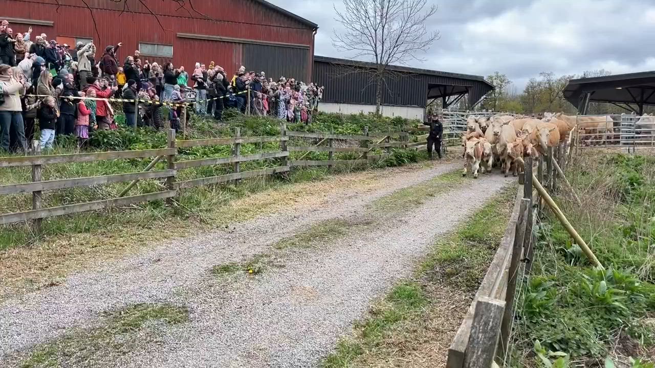 https://cdn.ntm.se/api/v1/images/j89pgo1r