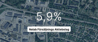 Nelab Försäljnings AB redovisar: Resultat som pekar uppåt