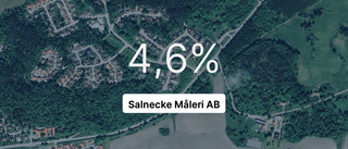 Salnecke Måleri AB har resultat som pekar uppåt