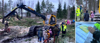 Nu röjs skogen för nya villatomter – så mycket ska avverkas