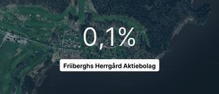 Med knapp marginal visar Friiberghs Herrgård Aktiebolag positiva tal