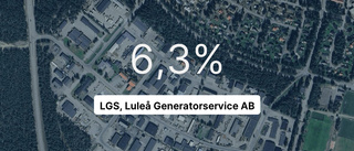 Resultatkurvan är negativ för LGS, Luleå Generatorservice AB