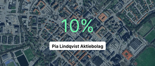 Pia Lindqvist Aktiebolag – så ser siffrorna ut