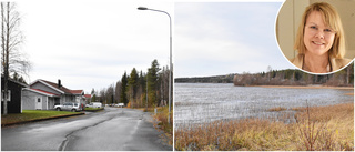 Här planeras strandnära tomter – bostadsområde kan växa