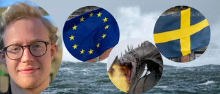 Sverige gör EU-succé trots stormar och odjur