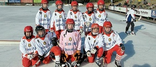 Bandy-SM för årskurs femelever