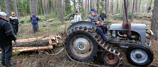 En upplevelse från stubbe till planka