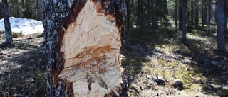 Gruvberget återigen utsatt för skadegörelse