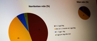 Hälsosam sommar – så gör du