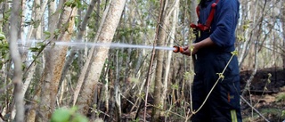 Eldning orsakade markbrand