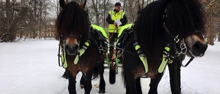 UNT TV: Här drar hästkrafterna fram