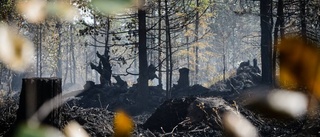 Nu hotas ett naturreservat av branden