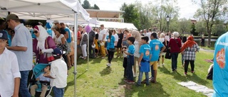 Internationell picknick lockade många