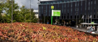 Startskott för grönare busskurer