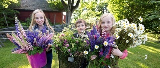 Midsommarfirande på Härkeberga