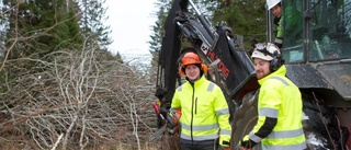 Här sågas elnätet fram efter stormen