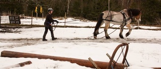 Hon jagar medalj i skogsterräng