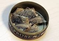 Snus ökar risken för magcancer