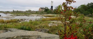 Skärgårdsöar blir reservat