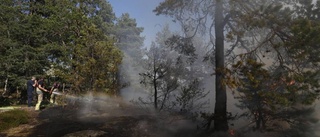 Blixtnedslag orsakade skogsbrand