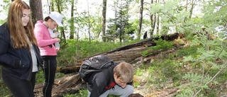 Elevernas spindeljakt hjälper forskarna