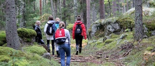 Elever i forskningens tjänst