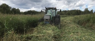 Nytt klimat kräver nytänk hos bönder