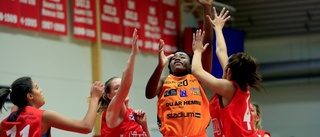 Uppsala Baskets tränarduo klar